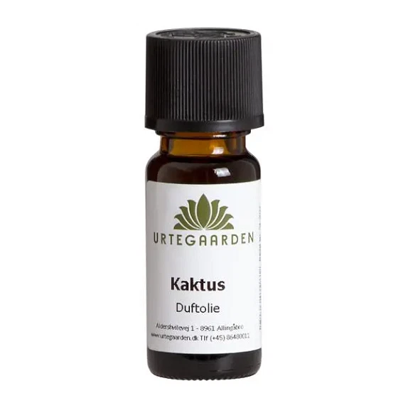 Kaktus Duftolie 10 ml